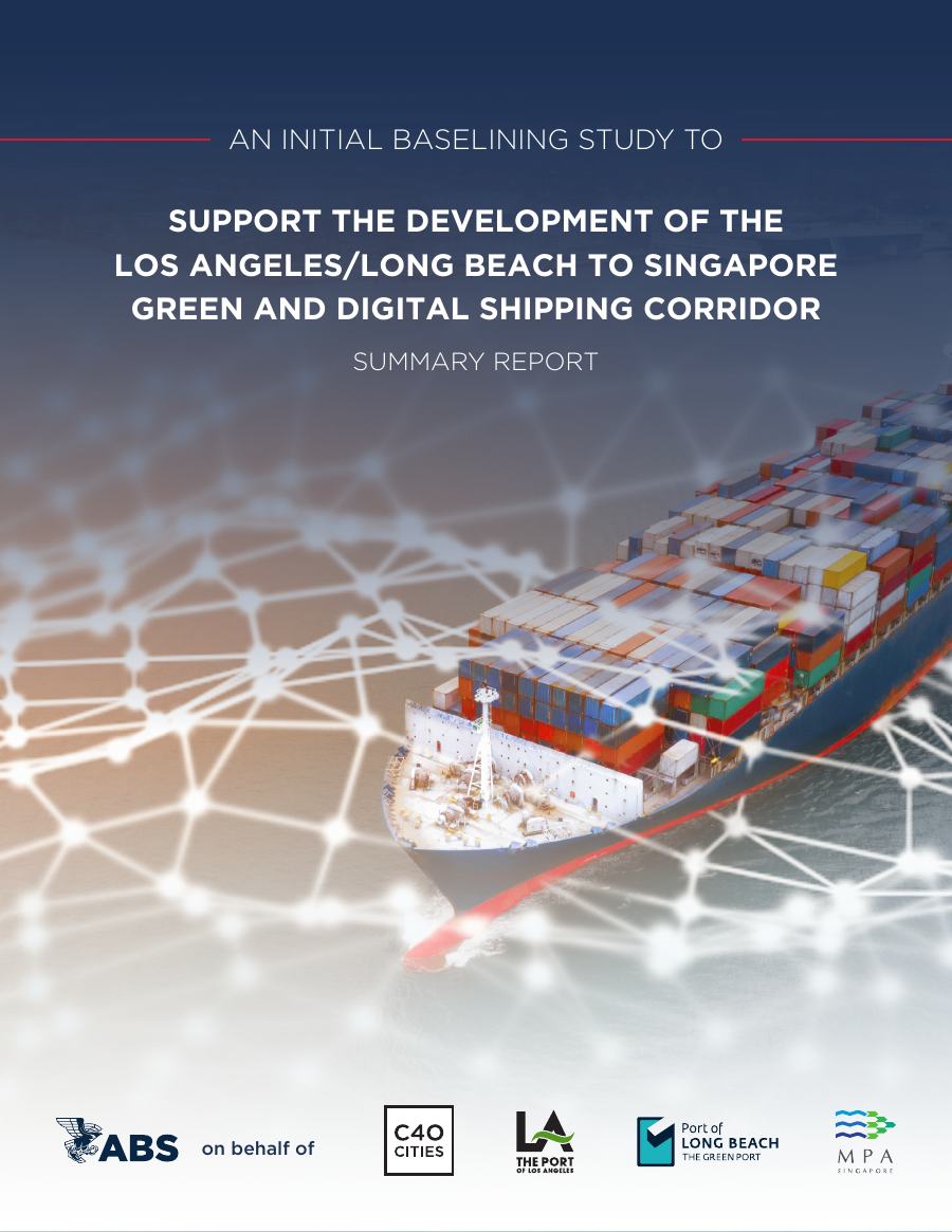Cover of ABS summary report